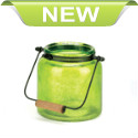 Cast an apple-green glow that flickers and shines in your living space with this country-style charmer. The green jar awaits the candle of your choice and features a top-mounted metal handle with wooden dowel.