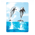 Dancing dolphins splash above a sunlit turquoise ocean on this bold, bright blanket. Thick, soft fleece keeps you warm and toasty with a generous size big enough to share! 