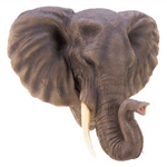 Indulge your wild side when you dress up a dull room with this lifelike sculptural plaque! Lovingly detailed re-creation of Nature’s gentle giant is a breathtaking addition to any area. Hole on back for hanging. Weight 7.5 lbs. Polyresin.